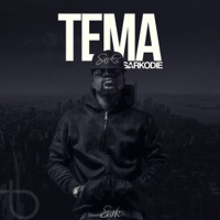 Sarkodie - Tema