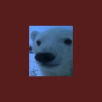 Damn... (feat. Linko) - Single - Inertia