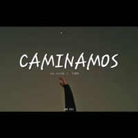 Caminamos (feat. ISMA) - Single - Falayon