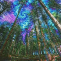 Psychedelic Utopia - Single - Downer850