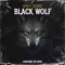 Black Wolf - Waka Sound lyrics