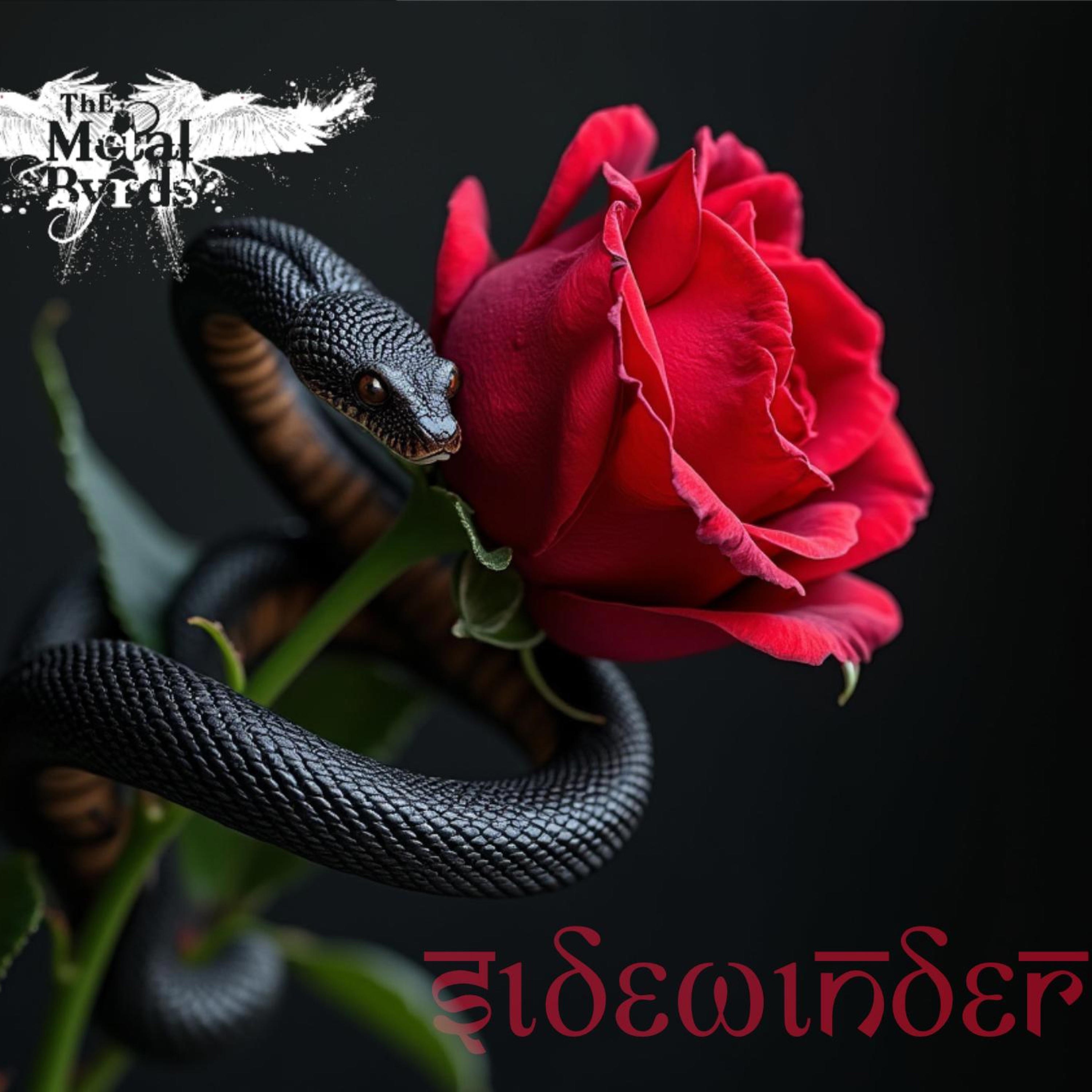 The Metal Byrds - Sidewinder