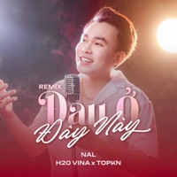 Đau Ở Đây Này (Remix) [feat. H2O Vina & TOPKN] - Single - NAL