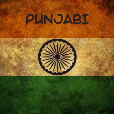 Punjabi, Vol. 1 - Single