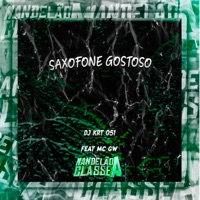 Saxofone Gostoso (feat. MC GW) - Single - DJ KRT 051