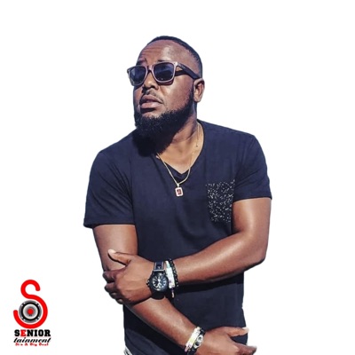 Drama Remix (feat. Destro Makhiya, Brailo, Flexi, T Squared & Kingsta) - Single