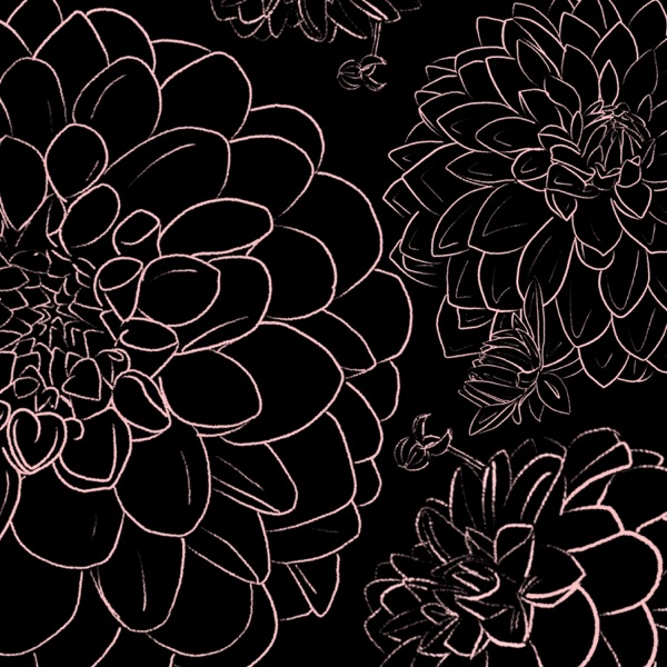 dahlia