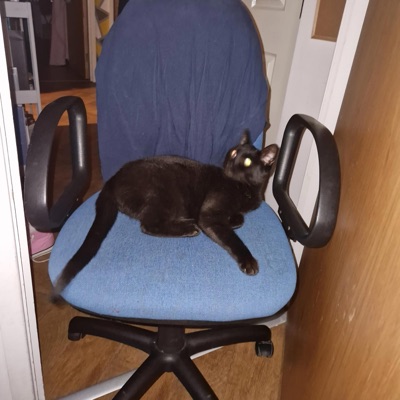 Trigger Warning: TS SUX