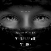Wainak Ya Habibi - Single - Cricket