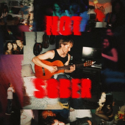 SUNDRIED (feat. indigo sol) - Single