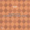 Can't Live Without Your Love