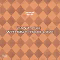 Can't Live Without Your Love