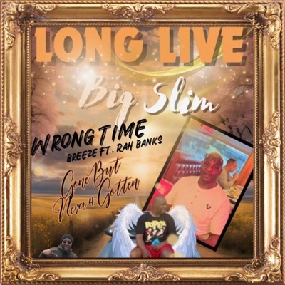 Wrong Time (LongLiveDC) (feat. Rah Banks) - Single