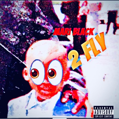 2 Fly