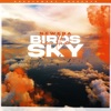 Cover NewEra - Birds In The Sky