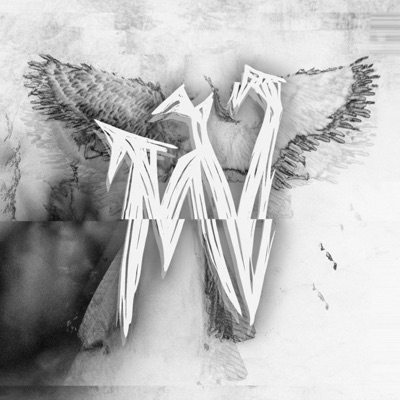 SKELETON FABRIC (feat. Lord Dismayne) - Single