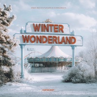 Winter Wonderland - Single - Jake Alva, NAAZUK & DoubleX