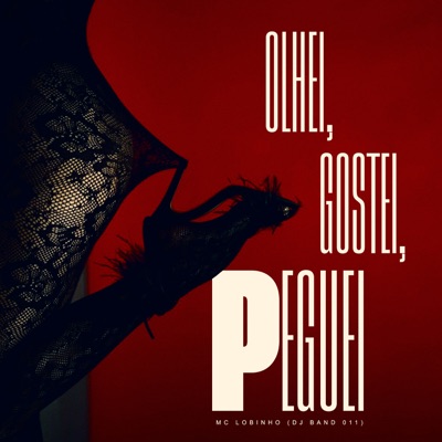 Olhei, Gostei, Peguei - Single