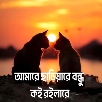 Md Aman Ullah - আমারে ছাড়িয়ারে বন্ধু কই রইলারে