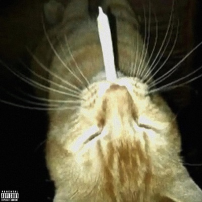 On My P's & Q's - Single