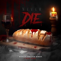 Never Die (feat. Big Pun) [Radio Edit] - Single - Scott Keltic Knot