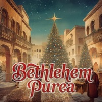 Bethlehem Purea (feat. Nipuna Fernando) [Cover Version] - Single - Sri Lankan Catholic Church Media
