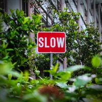 Slow - Single - Standley Johnson & Skill Syrup