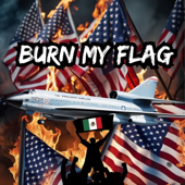 Burn My Flag song art