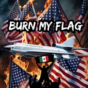 Burn My Flag