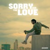 Sorry for the Love - Single