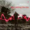 Not Letting You Go (Extended Mix)
