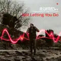 Not Letting You Go (Extended Mix) [BLACK HOLE RECORDINGS]