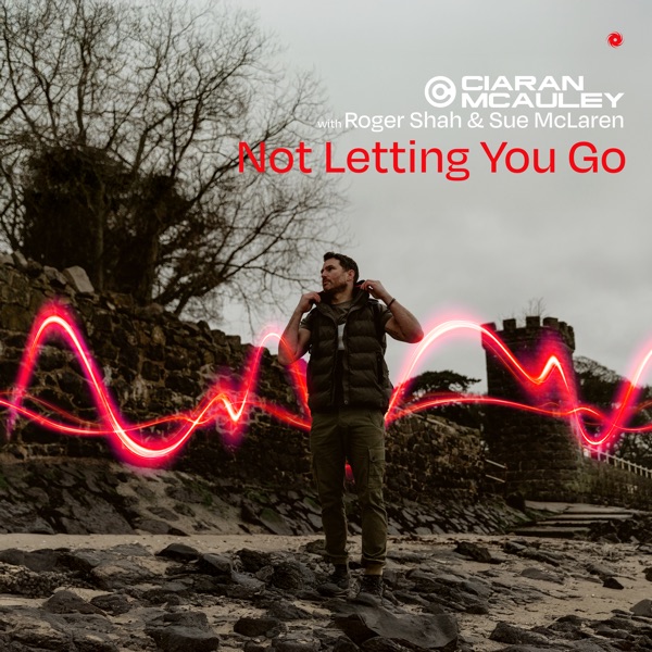 Not Letting You Go - Single