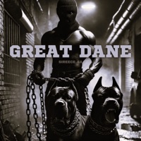 Great Dane - Single - Sireece_sa