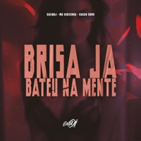 Brisa Já Bateu na Mente - Single - CaiiqDJ, Cacau Chuu & MC GIBIZINHA