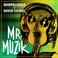Mr. Muzik - Single - Nonpalidece & David Cairol