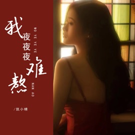 我夜夜夜难熬 Kai Xiaoqing