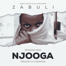 Njooga Zabuli