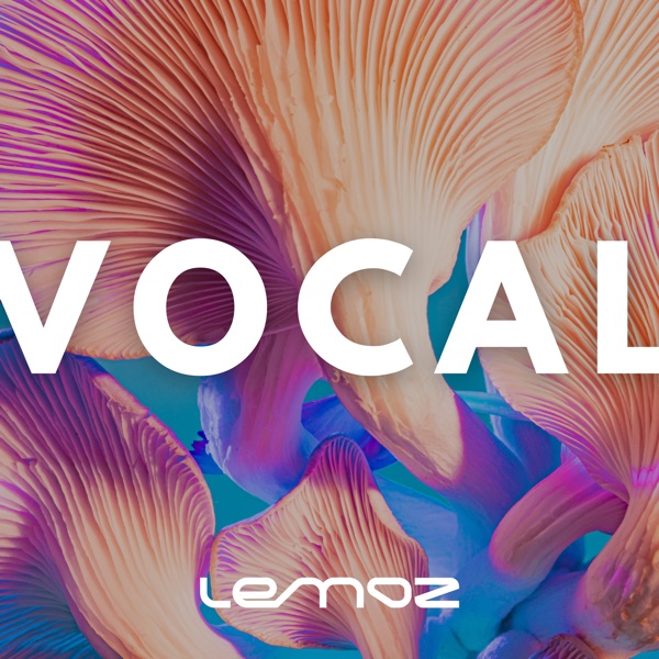 Vocal (DJ Mix)