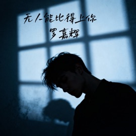 无人能比得上你 (1.1X) 罗嘉辉