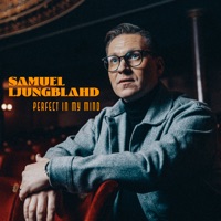 Perfect in My Mind - Single - Samuel Ljungblahd