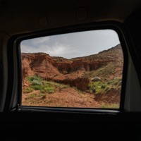 Dolores Marqués - Single - Bernal