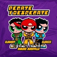 Pegate y Despegate - Single - HOMBRE MARAVILLA, ElDanny & Elbrexx