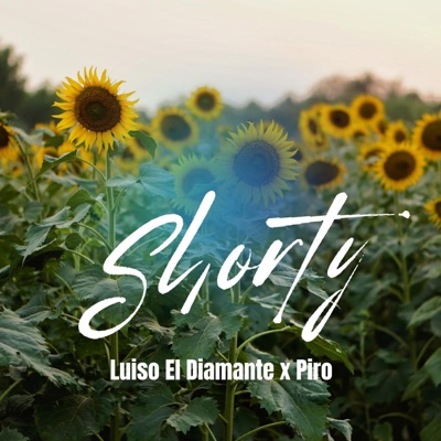 Shorty (feat. Piro) - Single