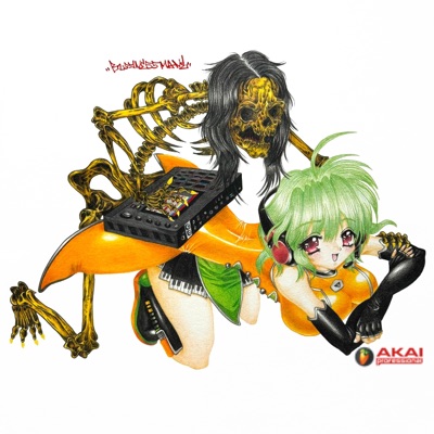 Fruity Loops and Akai