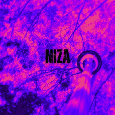 Niza (Remix) [feat. INFERAART] - Single