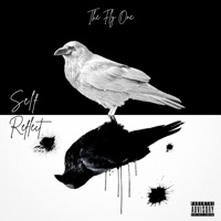 Self Reflect - The Fly One