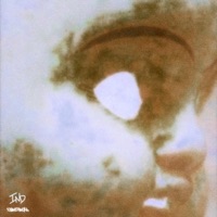 Perseverance - JUNECINEMA, JUNE! & Jay Cinema