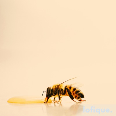 Honey Bee - Single