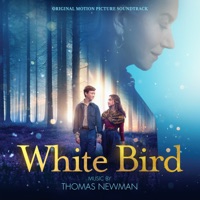 Album cover for Rose by Thomas Newman